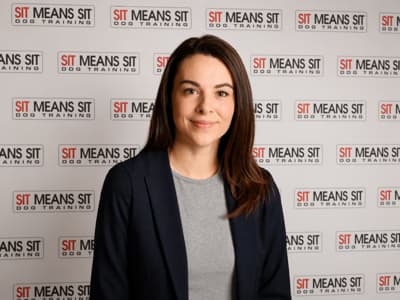 Board & Train Alternative — dog training program at Sit Means Sit Dog Training Westchester, Valhalla NY