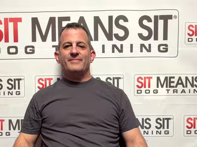 NEIL COHEN — certified dog trainer at Sit Means Sit Dog Training Westchester, Valhalla NY