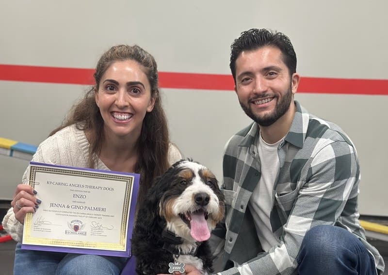 K-9 Caring Angels — dog training program at Sit Means Sit Dog Training Westchester, Valhalla NY